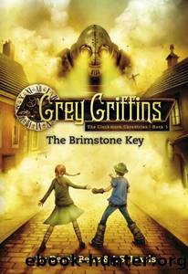 Grey griffins: the clockwork chronicles #1: the brimstone key by Derek Benz & Jon S. Lewis