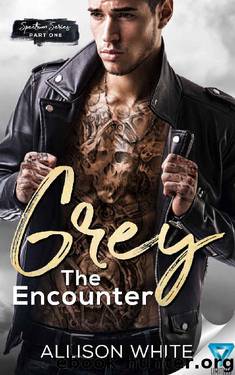 Grey: The Encounter (Spectrum Series Book 1) by Allison White