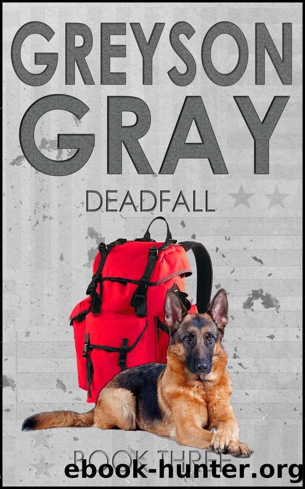 Greyson Gray: Deadfall (Thrilling Adventure Series for Preteens and Teens) (The Greyson Gray Series Book 3) by Tweedt B.C