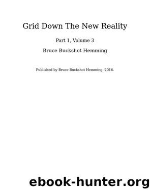 Grid Down the New Reality by Bruce Buckshot Hemming & Monica Lee Ray