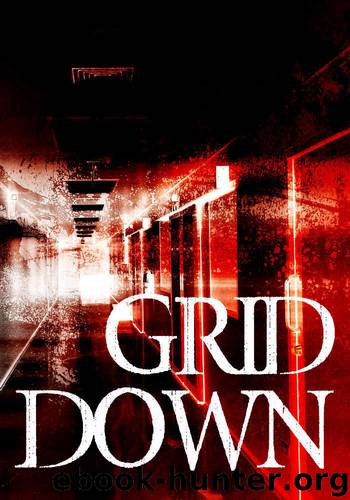 Grid Down: A Strike against America – An EMP Survival Story- Book One by Roger Hayden