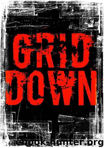 Grid Down: The Beginning - An EMP Survival Story by Roger Hayden