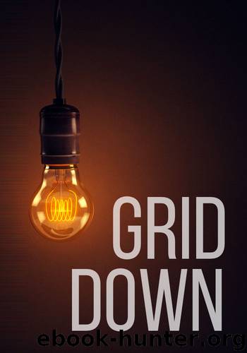Grid Down- How To Survive And Protect Your Family In A Powerless World by BJ Knights