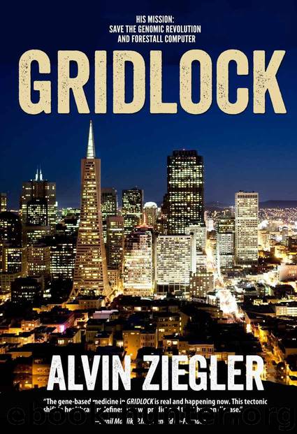 Gridlock: A Scientific Thriller by Ziegler Alvin