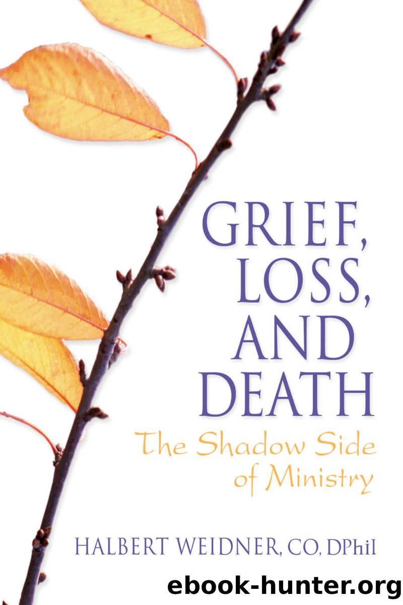 Grief, Loss, and Death by Weaver Andrew J.;Weidner Halbert;