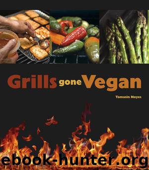 Grills Gone Vegan by Tamasin Noyes