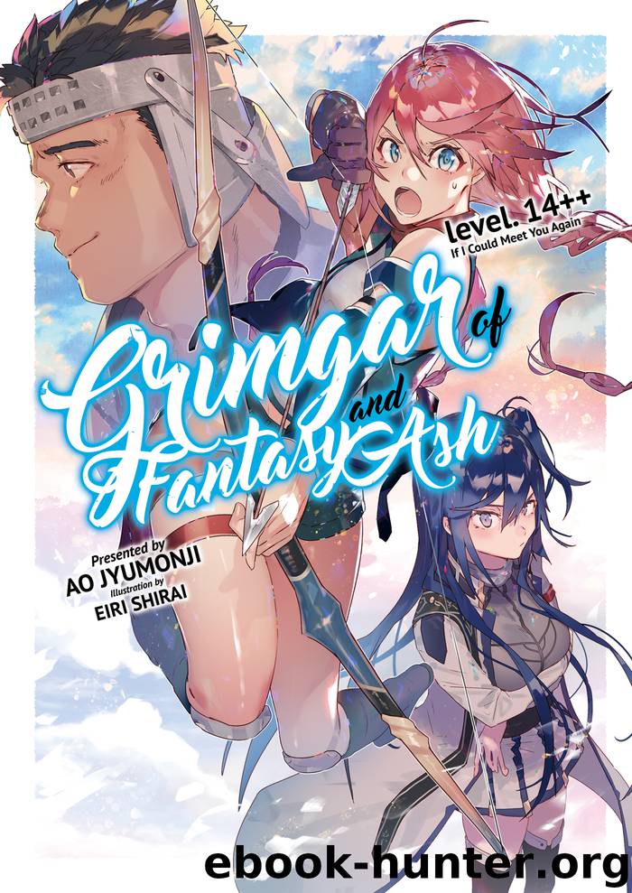 Grimgar of Fantasy and Ash: Volume 14++ by Ao Jyumonji & Eiri Shirai & Sean McCann & Adam Fogle