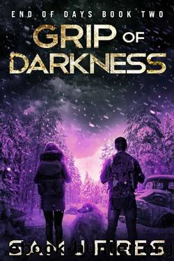Grip of Darkness: A Post-Apocalyptic EMP Survival Thriller (End of Days Book 2) by Sam J Fires