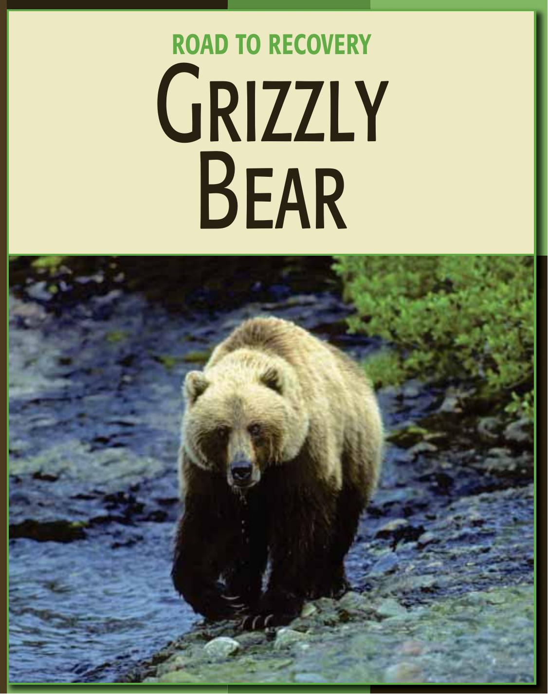 Grizzly Bear by Barbara A. Somervill
