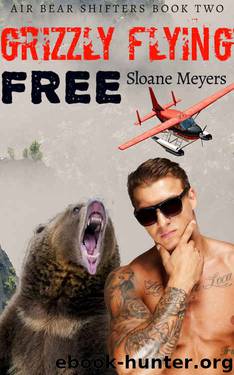 Grizzly Flying Free (Air Bear Shifters Book 2) by Sloane Meyers
