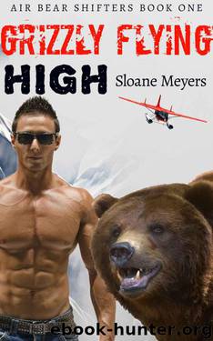 Grizzly Flying High (Air Bear Shifters 1) by Sloane Meyers