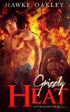 Grizzly Heat (MM Bear Shifter Romance) by Hawke Oakley