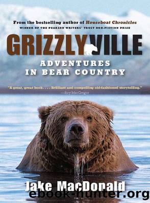 Grizzlyville by Jake Macdonald