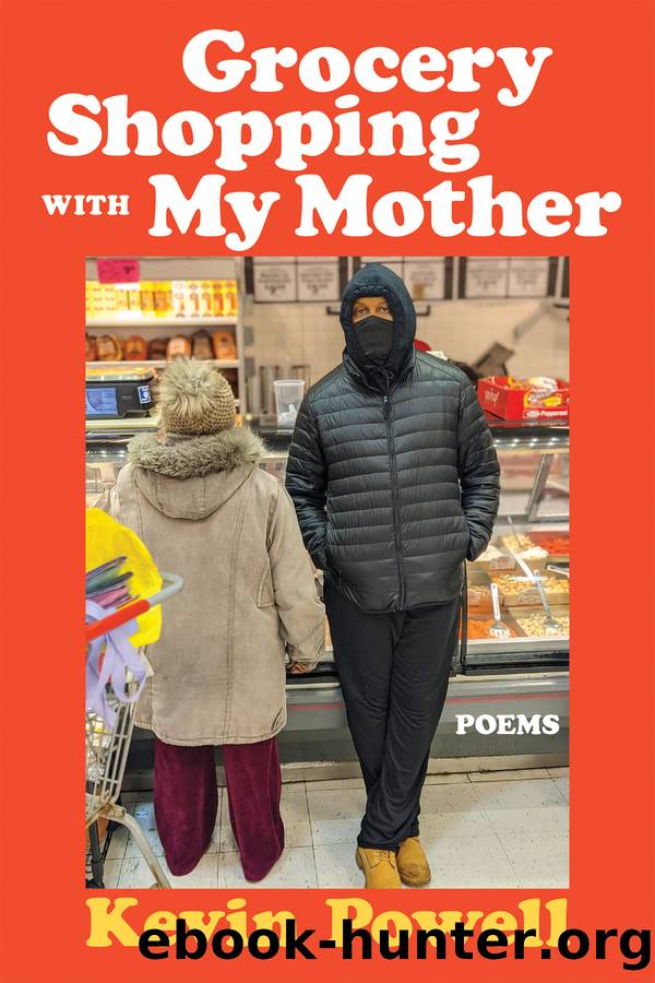 Grocery Shopping with My Mother by Kevin Powell