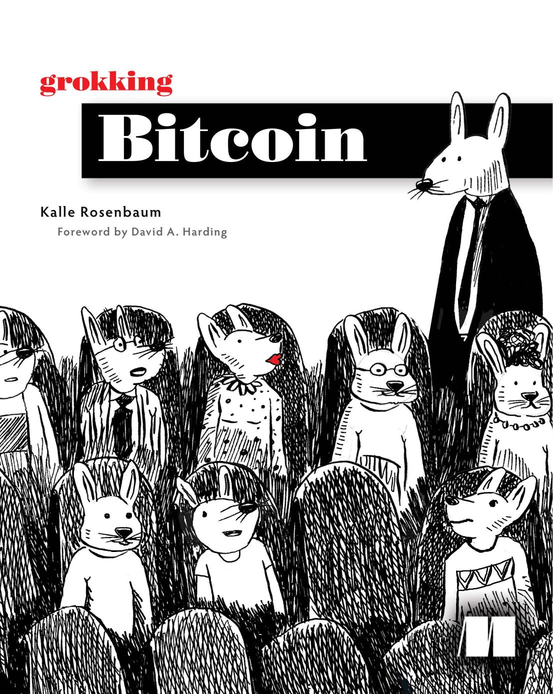 Grokking Bitcoin by Kalle Rosenbaum
