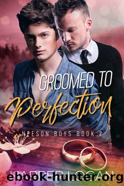 Groomed to Perfection (Neeson Boys Book 2) by Harper Logan