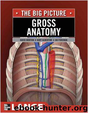 Gross Anatomy: The Big Picture (LANGE The Big Picture) by David Morton & K. Bo Foreman & Kurt Albertine