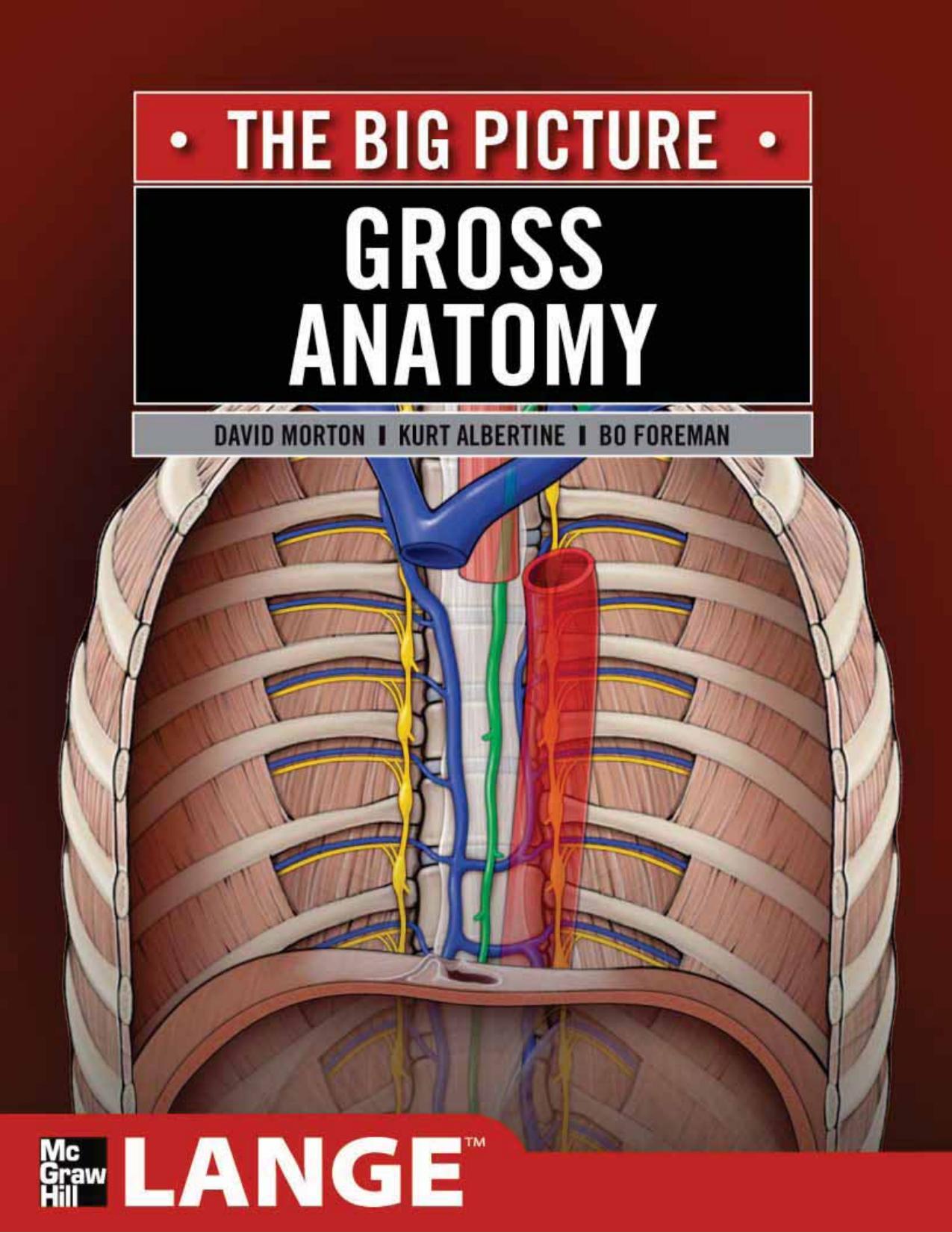 Gross Anatomy: The Big Picture by David Morton K. Bo Foreman Kurt Albertine