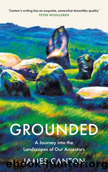 Grounded by James Canton