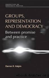 Groups, Representation and Democracy by Halpin Darren