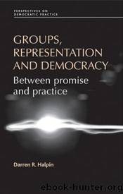 Groups, Representation and Democracy by Halpin Darren