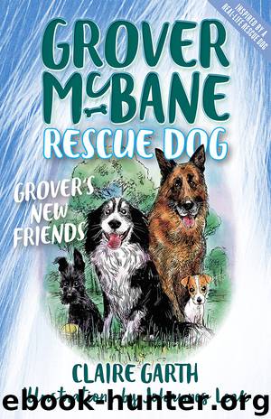 Grover's New Friends by Claire Garth