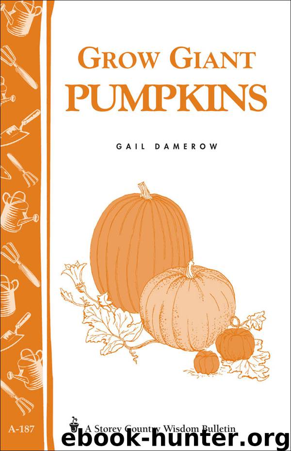 Grow Giant Pumpkins by Gail Damerow