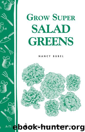 Grow Super Salad Greens by Nancy Bubel