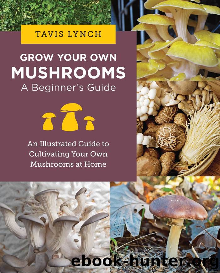 Grow Your Own Mushrooms by Tavis Lynch