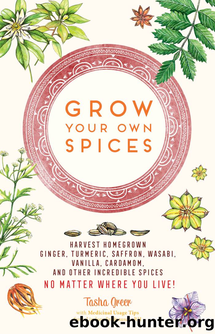 Grow Your Own Spices by Tasha Greer