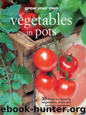 Grow Your Own Vegetables in Pots by Deborah Schneebeli-Morrell