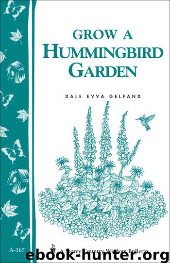 Grow a Hummingbird Garden by Dale Evva Gelfand