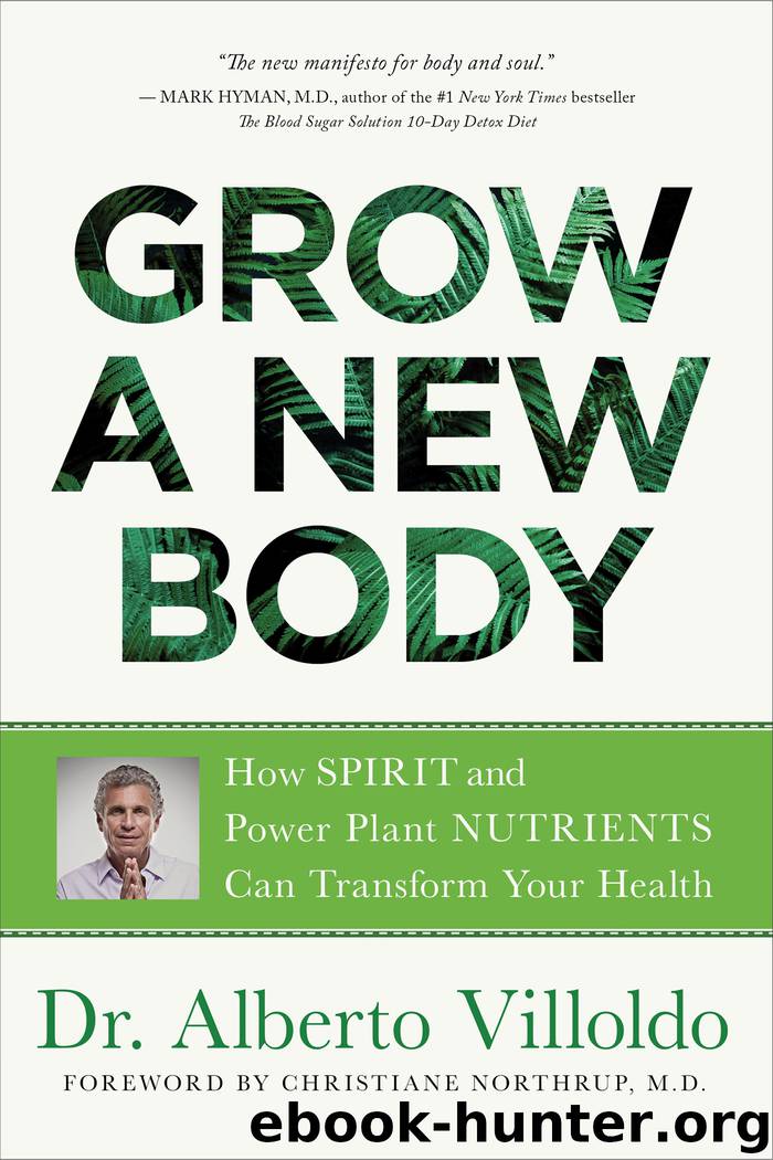 Grow a New Body by Alberto Villoldo