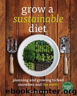 Grow a Sustainable Diet: Planning and Growing to Feed Ourselves and the Earth by Cindy Conner