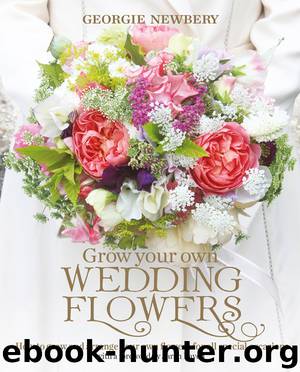 Grow your own Wedding Flowers by Georgie Newbery