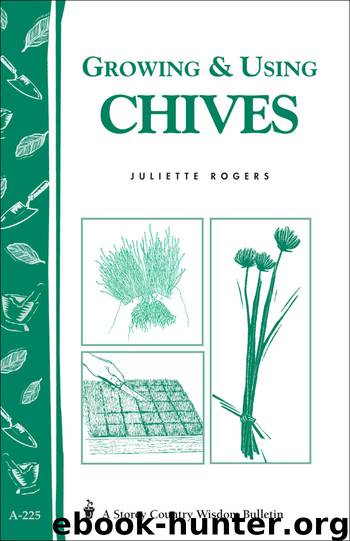 Growing & Using Chives by Juliette Rogers