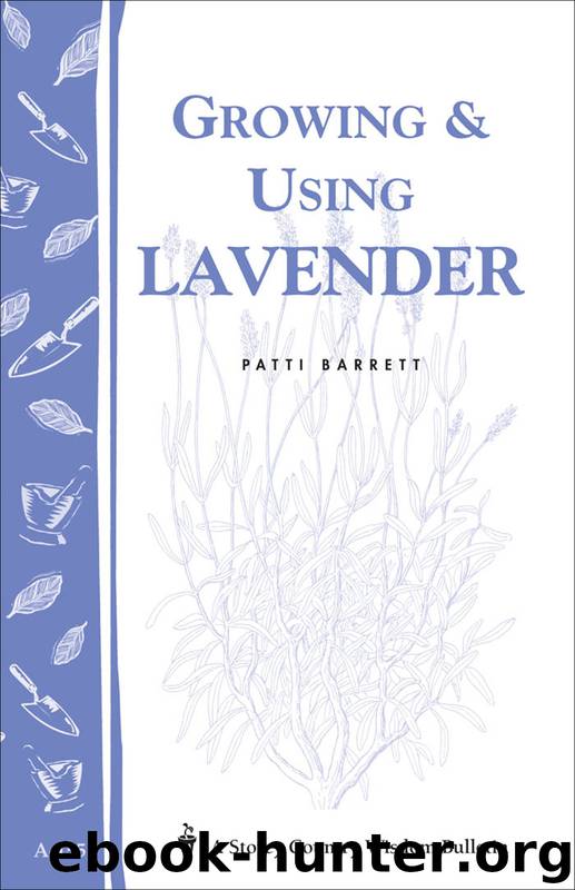 Growing & Using Lavender by Patricia R. Barrett