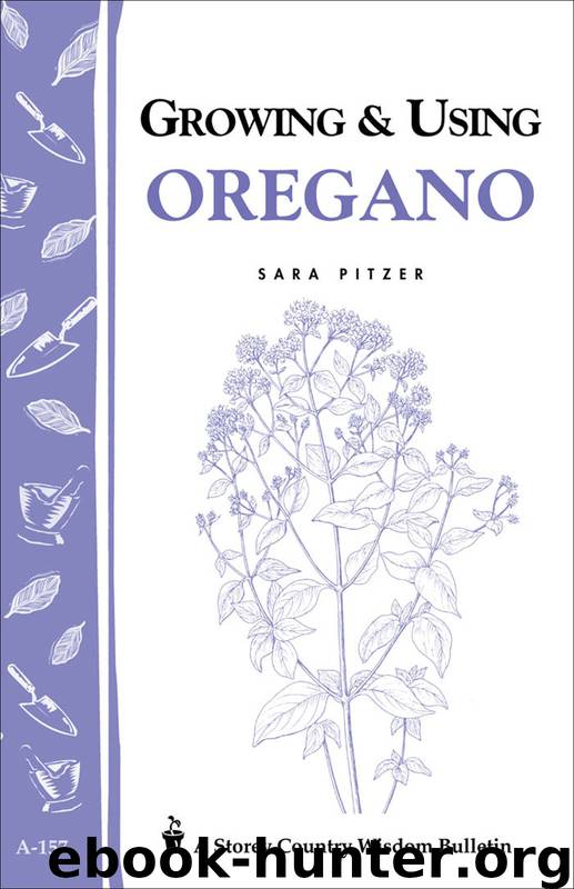 Growing & Using Oregano by Sara Pitzer