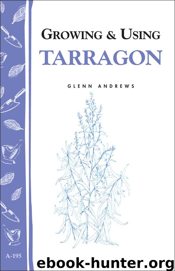 Growing & Using Tarragon by Glenn Andrews