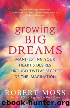 Growing Big Dreams by Robert Moss