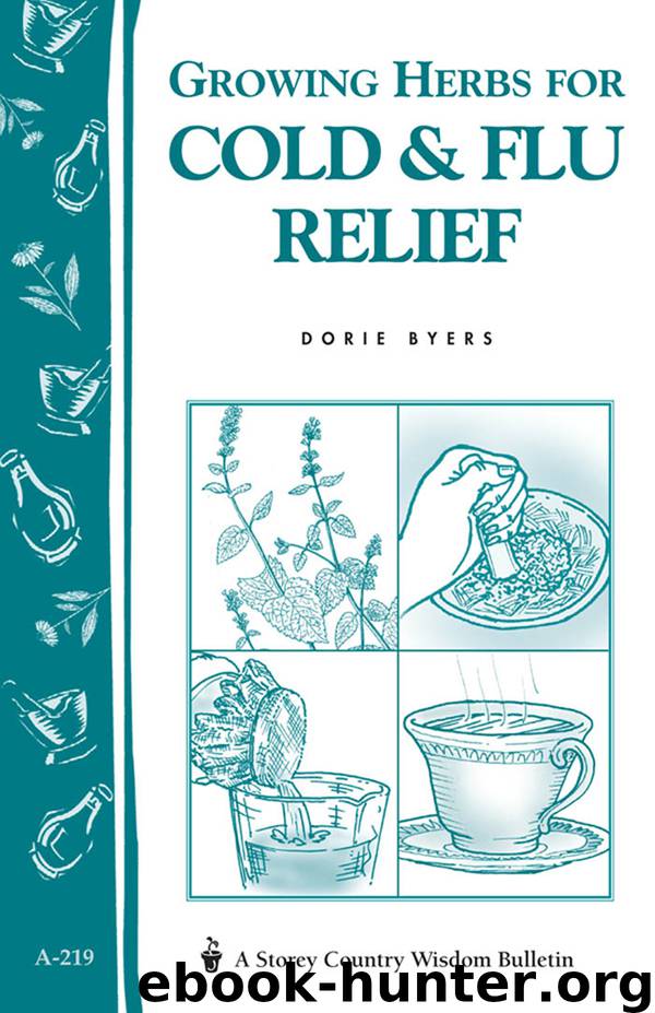 Growing Herbs for Cold & Flu Relief by Dorie Byers