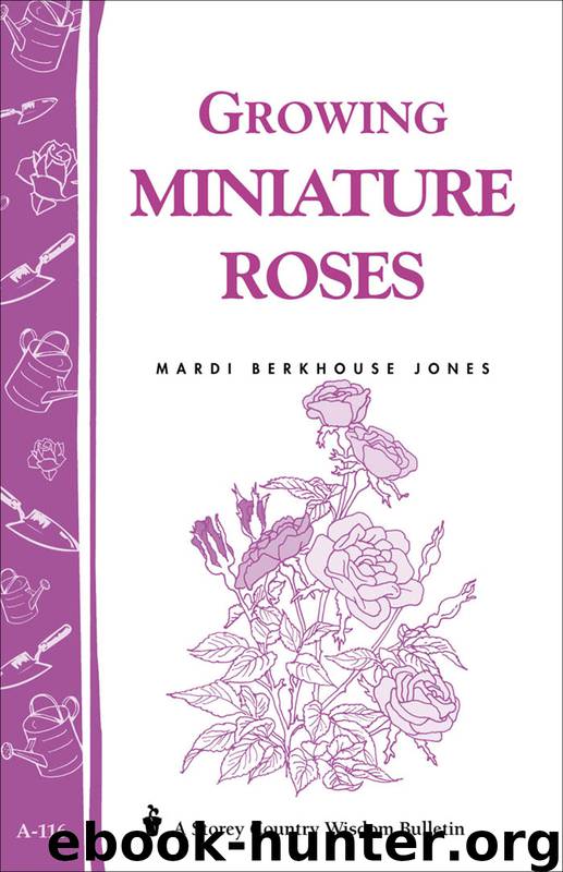 Growing Miniature Roses by Mardi Berkhouse Jones