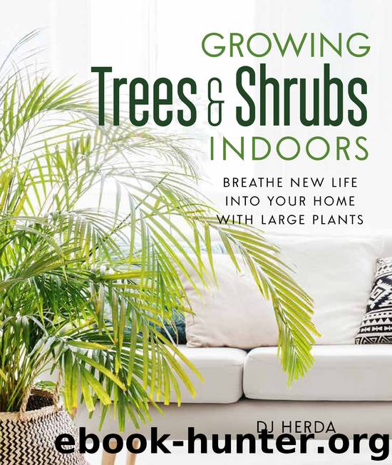 Growing Trees and Shrubs Indoors by DJ Herda