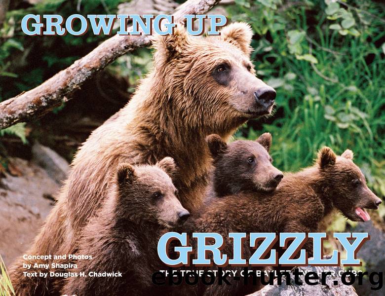 Growing Up Grizzly by Amy Shapira