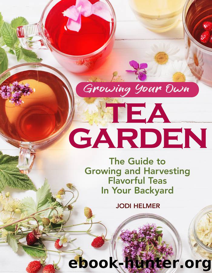 Growing Your Own Tea Garden by Jodi Helmer