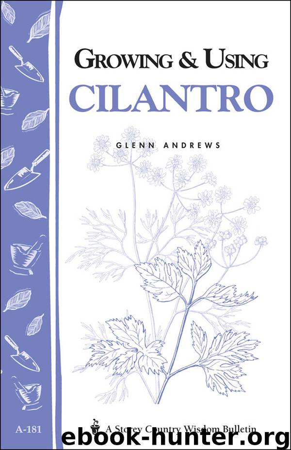 Growing and Using Cilantro by Glenn Andrews