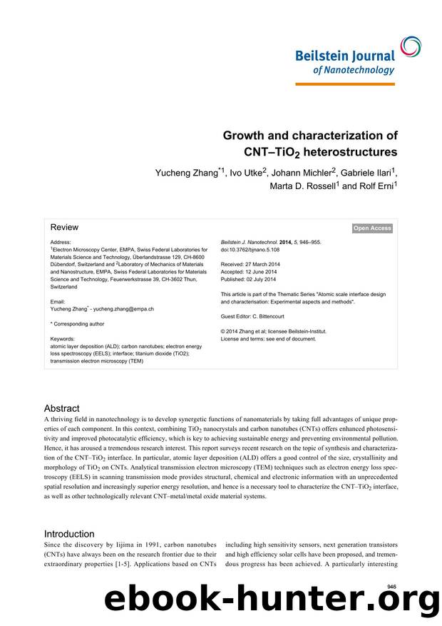 Growth and characterization of CNTâTiO2 heterostructures by Yucheng Zhang Ivo Utke Johann Michler Gabriele Ilari Marta D. Rossell Rolf Erni