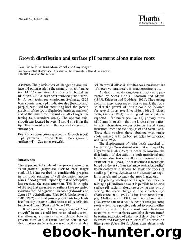 Growth distribution and surface pH patterns along maize roots by Unknown