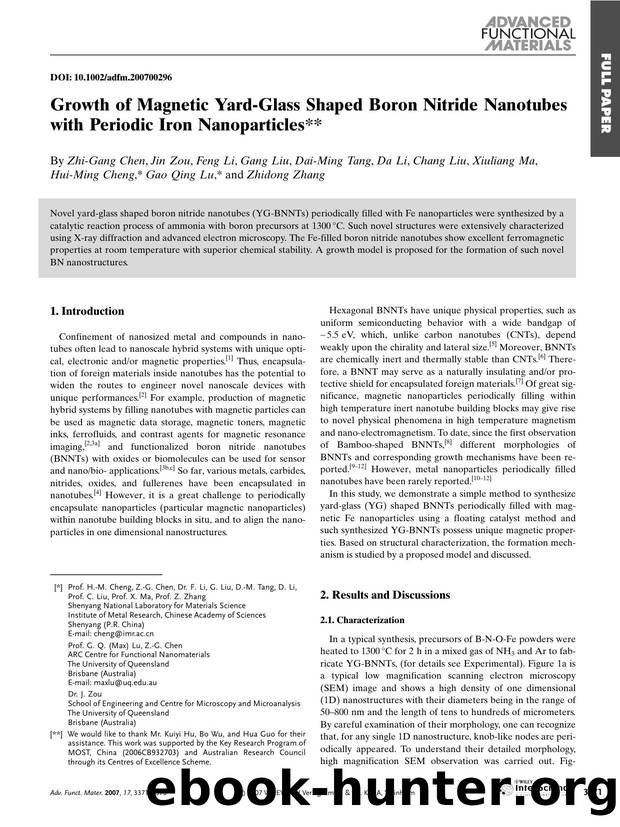 Growth of Magnetic Yard-Glass Shaped Boron Nitride Nanotubes with Periodic Iron Nanoparticles by Unknown