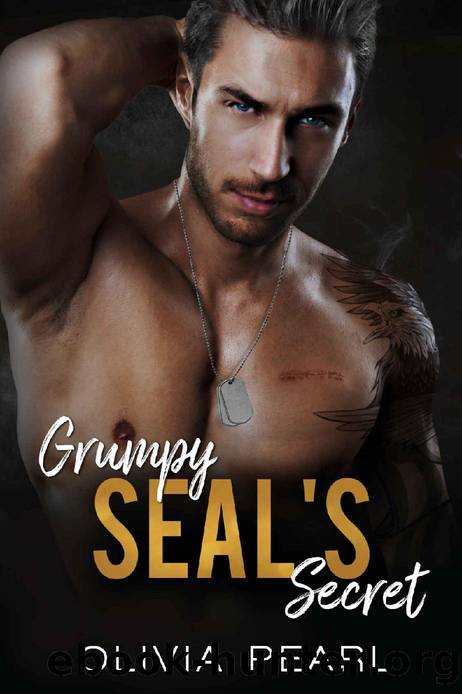 Grumpy SEAL's Secret: An Enemies to Lovers Small Town Surprise Pregnancy Romance by Olivia Pearl